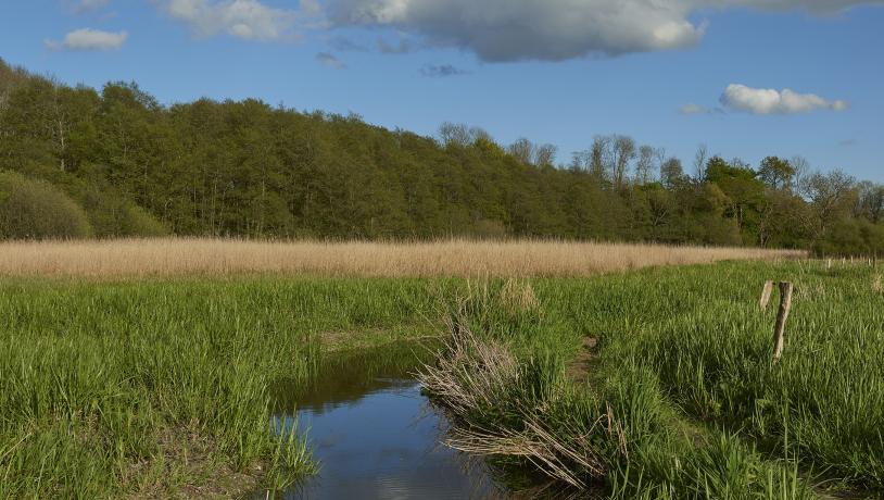 Naturlandskab Syltemade Ådal i Svendborg Kommune