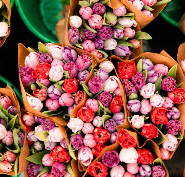 Forårs i Svendborg, tulipaner til torvedag