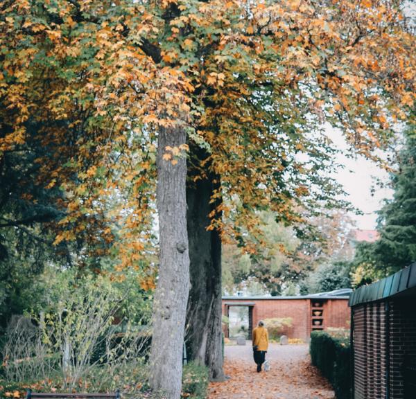 Efterår i Svendborg